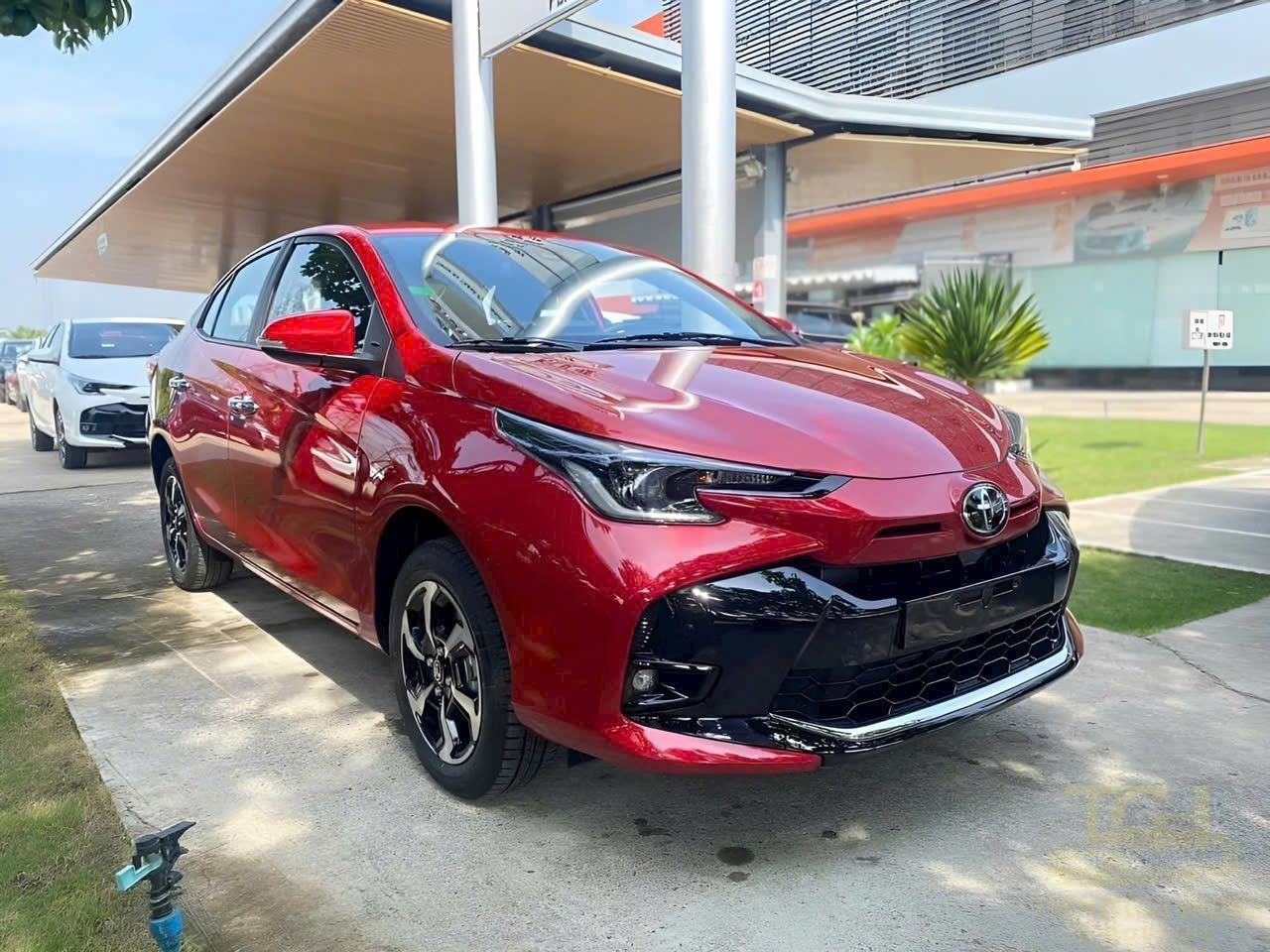 Cho thuê xe du lịch 4 chỗ Vios đỏ