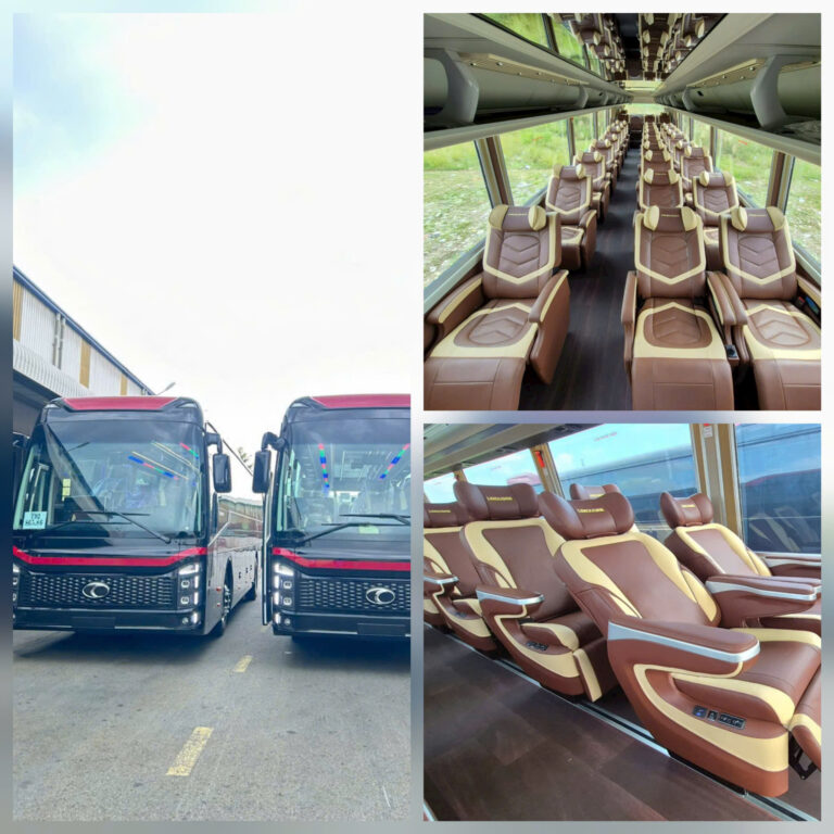 Thuê xe limousine 29c tại tphcm