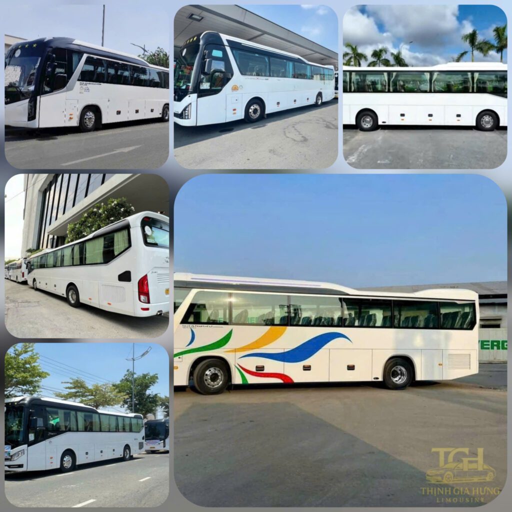 cần thuê xe 29 chỗ limousine tphcm