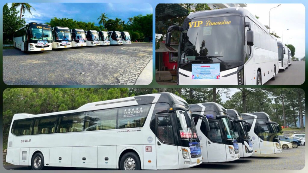 xe vip limousine 29 chỗ
